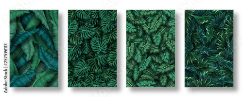 Set of tropical leaves background Tableau sur Toile