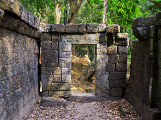 Wall Mural - ruins of temple, Wat, Jungle, Laos