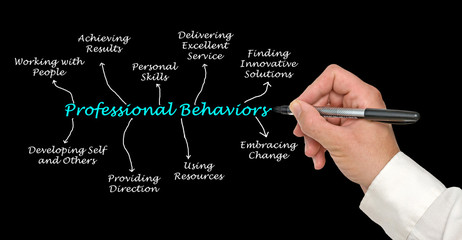 Sticker - Components of Professional Behaviors