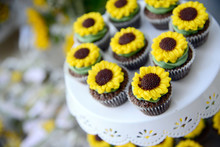Cupcakes In Yellow Sunflower