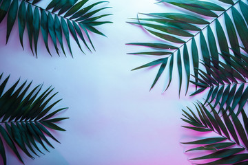 Tropical and palm leaves in vibrant bold gradient holographic neon colors , background.