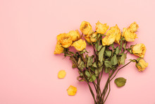 Dry Yellow Roses Bouquet On Pink Pastel Background With Copy-space