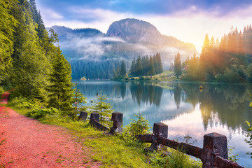 Majestic summer view of mountain lake Lacul Rosu or Red Lake or Killer Lake