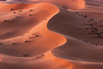 Incredible form of the dunes of the Sahara desert shaped by the wind