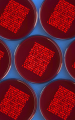 Poster - petri dishes with samples for dna sequencing, 3d rendering,conceptual image.