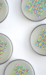 Poster - petri dishes with samples for dna sequencing, 3d rendering,conceptual image.