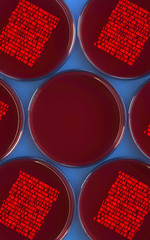 Poster - petri dishes with samples for dna sequencing, 3d rendering,conceptual image.