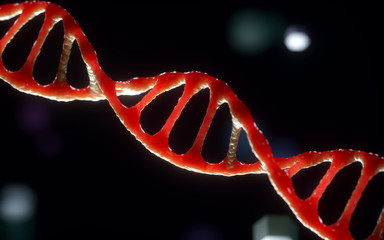 Wall Mural - genetic engineering and gene manipulation concept, 3d rendering,conceptual image.