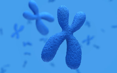 Poster - x chromosomes structure. genetics concept. 3d rendering,conceptual image.