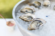 © Luana - oysters on ice