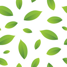 Leaf Seamless Vector Pattern With Light Green Leaves, Isolated On Transparent Background.