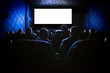 © Nikolay N. Antonov - People in the cinema watching a movie.