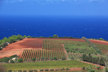 Wall Mural - Algeria, Mediterranean Sea