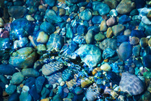 Sea Stones In The Sea Water. Pebbles Under Water. The View From The Top.