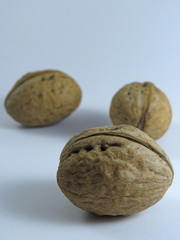 Walnuts on a white background beautiful and tasty healthy food