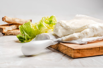 Italian spreadable cheese called stracchino served with slices of toasted bread 