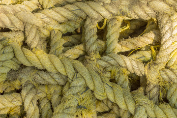 gray yellow thick sea rope lies in a pile close-up. rough surface texture