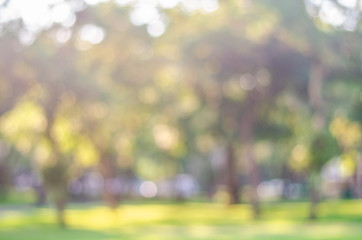 blur green bokeh lush garden park outdoor in nature abstract background.