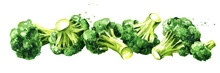 Fresh Broccoli. Hand Drawn Horizontal Watercolor Illustration, Isolated On White Background