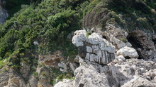 The Little Mermaid Statue On A Rock Of The Island Of Capri