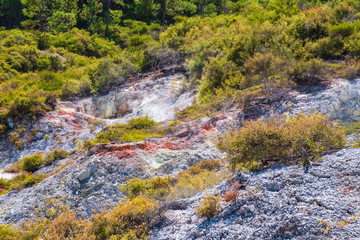 Beautiful scenery of thermal land, Rotorua, North Island,  New Zealand.