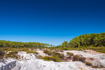 Beautiful scenery of thermal land, Rotorua, North Island,  New Zealand.