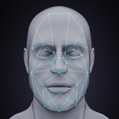 Wall Mural - Face Recognition System Illustration