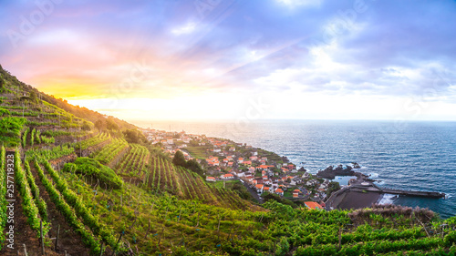 Cuadros en Lienzo Wineyards of Madeira at sunset, above the municipality of Seixal