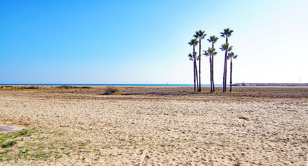 Playa de Comarruga, El Vendrell, Tarragona, Catalunya, España, Europa