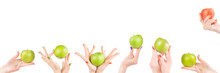 Woman Hands With Apples Set Isolated With Clipping Path