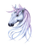 Fototapeta Konie - Fairy unicorn. Isolated on white background. 