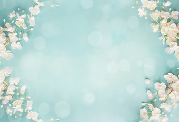 Blue Floral Bokeh Spring Background