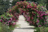 Fototapeta Koty - Garden archway
