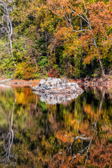 Wall Mural - Great Falls trees reflection vertical view in canal river during autumn in Maryland colorful yellow orange leaves foliage