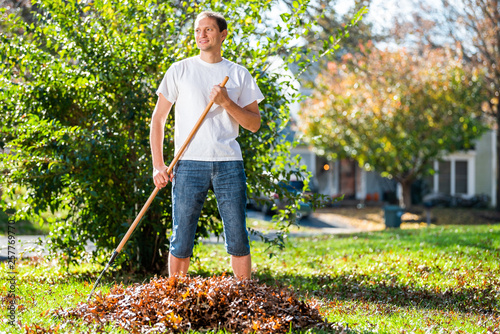 Cuadros en Lienzo Young man homeowner in garden yard backyard raking collecting of dry autumn foli