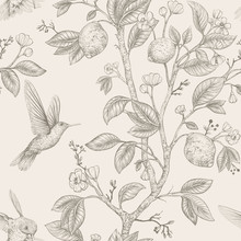 Vector Sketch Pattern With Birds And Flowers. Hummingbirds And Flowers, Retro Style, Nature Backdrop. Vintage Monochrome Flower Design For Wrapping Paper, Cover, Textile, Fabric, Wallpaper