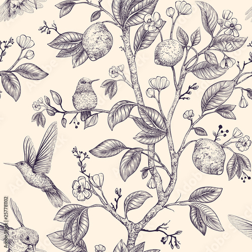 Fotografía Vector sketch pattern with birds and flowers