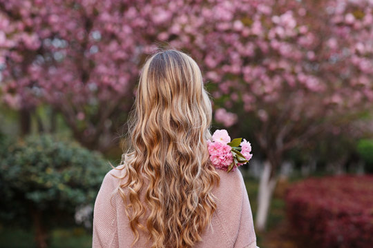 beautiful young woman with long curly blonde hair from behind holding blooming branch of sakura tree