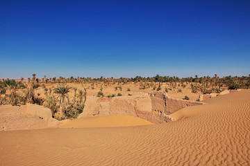 Wall Mural - Dune, Sand,  Sahara, Timimoun, Algeria