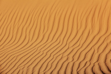 Wall Mural - Dune, Sand,  Sahara, Timimoun, Algeria