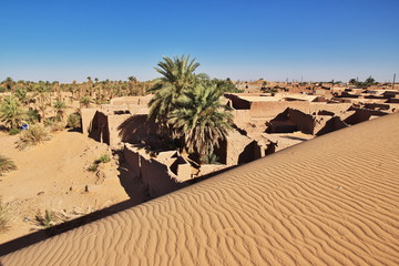 Wall Mural - Dune, Sand,  Sahara, Timimoun, Algeria