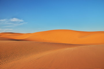 Wall Mural - Dune, Sand, Desert, Algeria, Sahara, Egypt, Tunisia, Africa