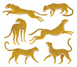 Set of abstract silhouettes of leopards. Vector hand draw design.