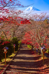 Fototapete - Path to Mt. Fuji in autumn, Fujiyoshida, Japan