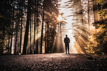 A man standing in sunrise spring rays peaking through forest foliage and road leading through forest. Amazing warm early spring morning scene. Peaceful, magical and quiet natural scene.