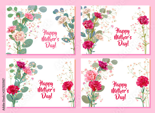 Set horizontal Mother's Day cards with carnation: red, pink, white flowers, t...