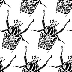 Seamless pattern with insects. Beetles Goliath on a white background.