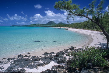 Wall Mural - Tropical paradise beach of Ile Aux Cerfs, Mauritius island