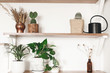 © sonyachny - Stylish wooden shelves with green plants, black watering can, boho wildflowers. Modern hipster room decor. Cactus, epipremnum pothos, dracaena flower pots on shelf