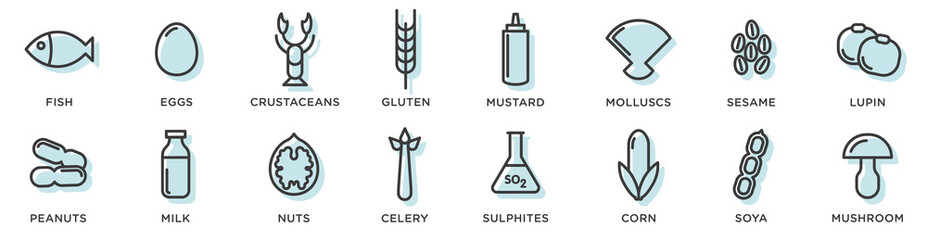 Food allergy icons. Basic allergens and diet line icons vector set. Isolated on white background .